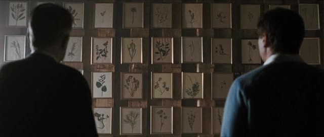 Image of the pressed flowers scene from The Girl With The Dragon Tattoo